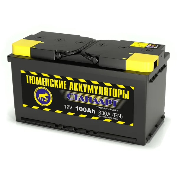 Аккумулятор ТЮМЕНСКИЕ АККУМУЛЯТОРЫ Стандарт 100Ah euro EN830