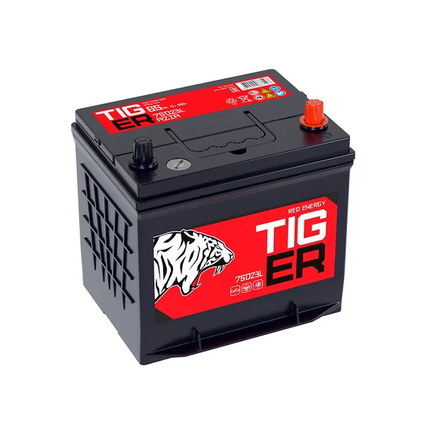 Аккумулятор TIGER Red Energy 65Ah euro EN600 75D23L