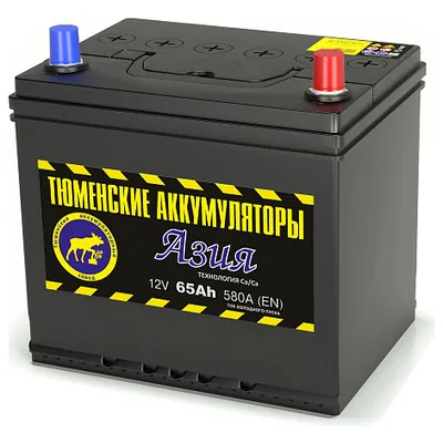 Аккумулятор ТЮМЕНСКИЕ АККУМУЛЯТОРЫ Asia 65 Ач 580 А (EN), обратная полярность, D23