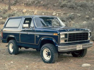 U15 (1979–1981)
