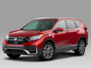 RW (2019–2026)